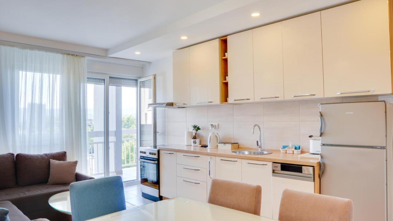 Appartamento Milica 65M2, Free Parking & Wi-Fi Novi Sad Esterno foto