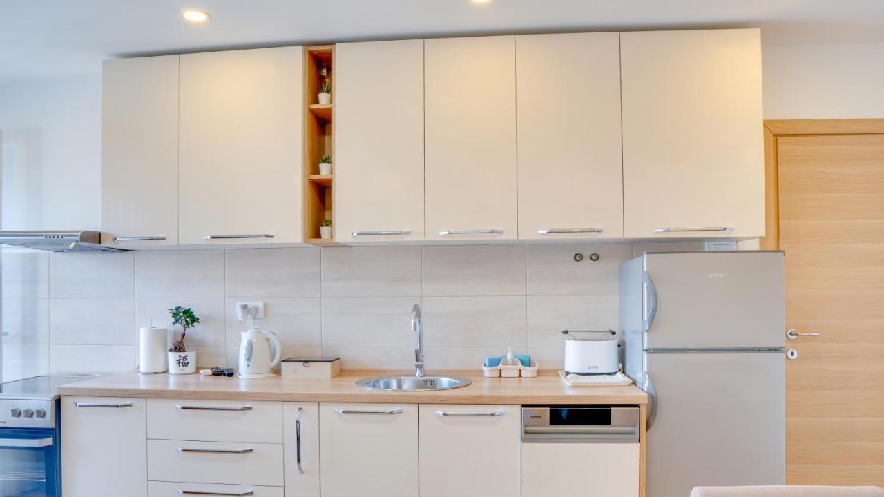 Appartamento Milica 65M2, Free Parking & Wi-Fi Novi Sad Esterno foto